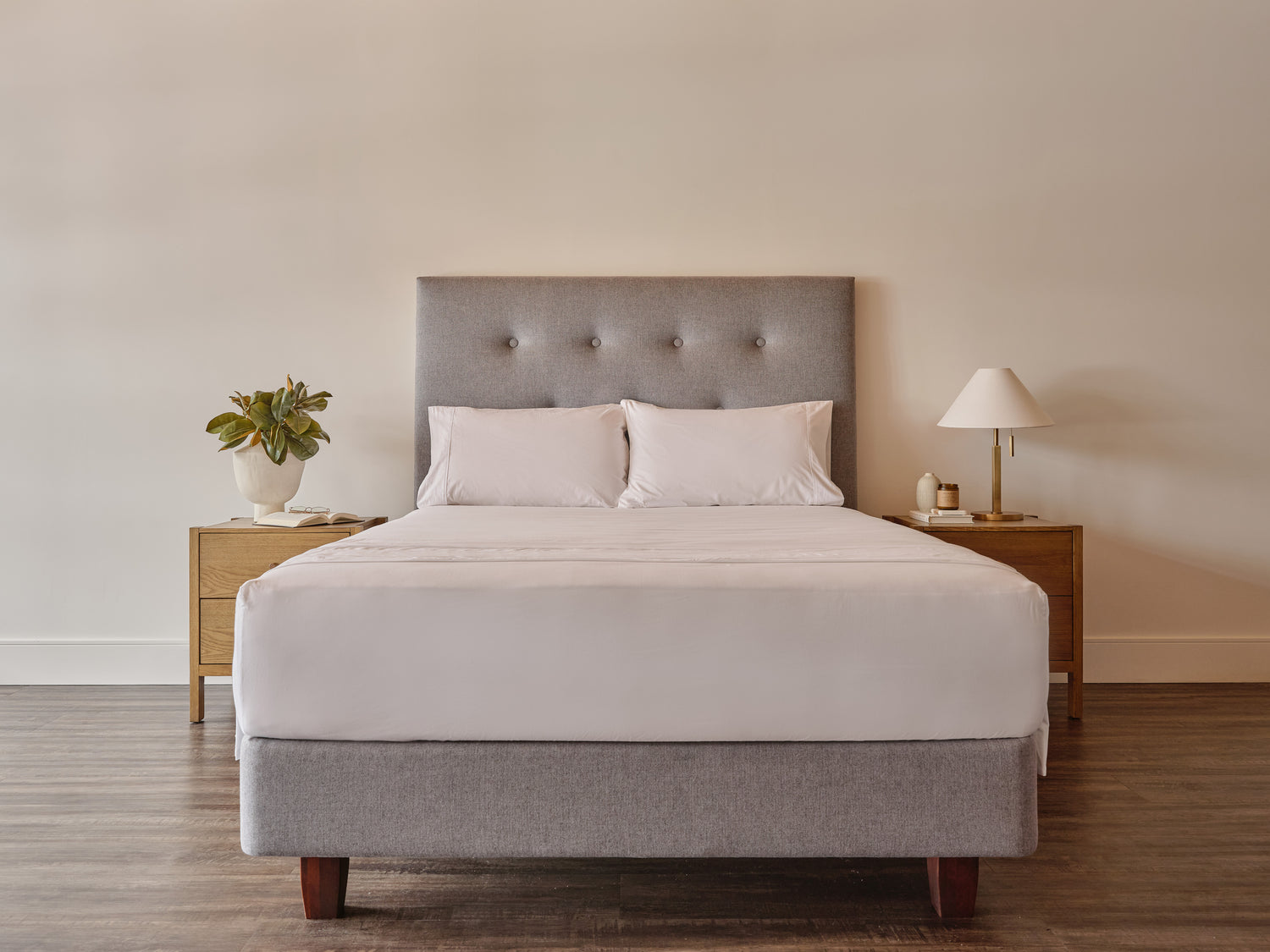 Organic Cotton Sheet Set