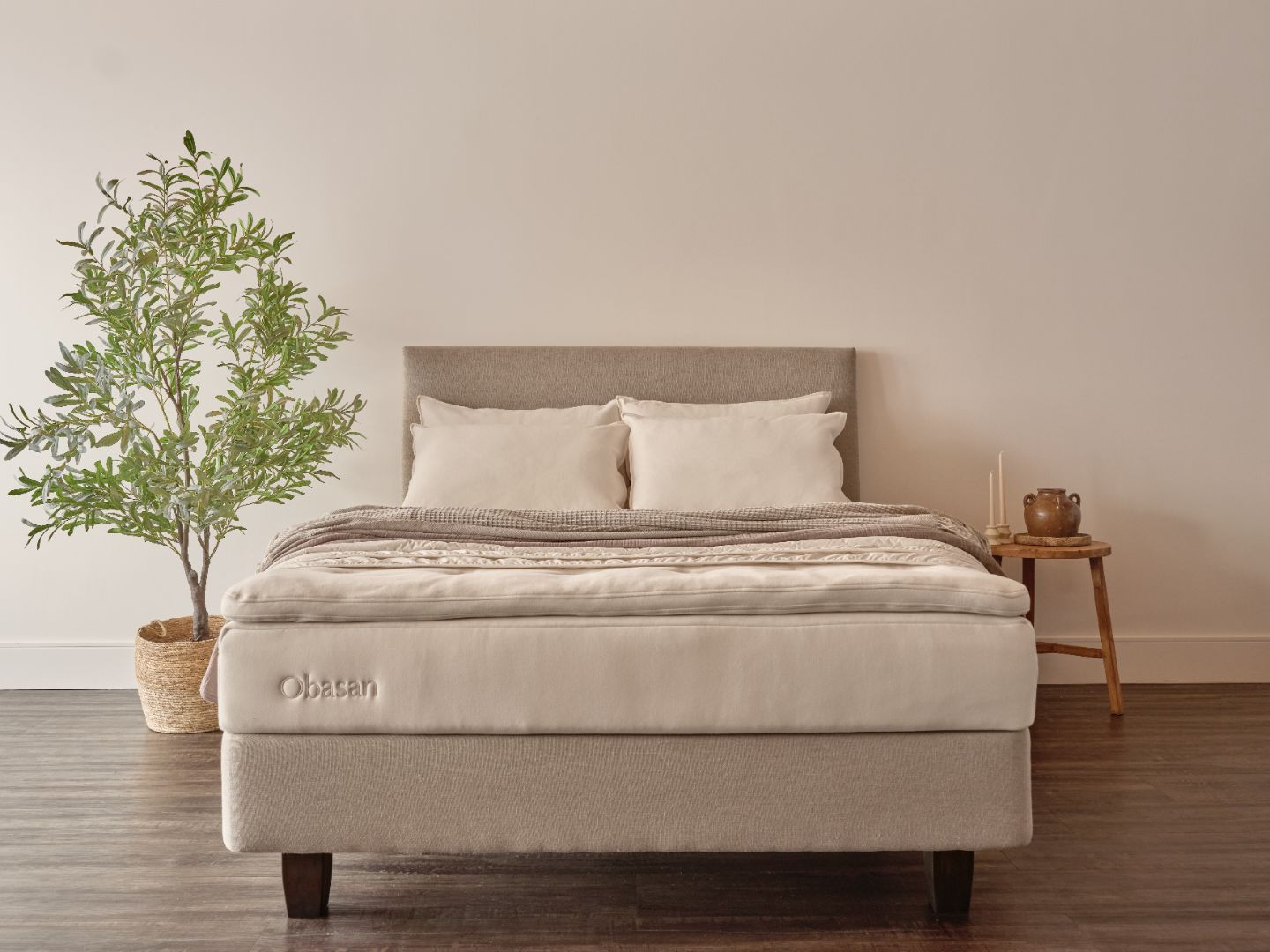 Styled queen classic mattress with olive tree next to bed 