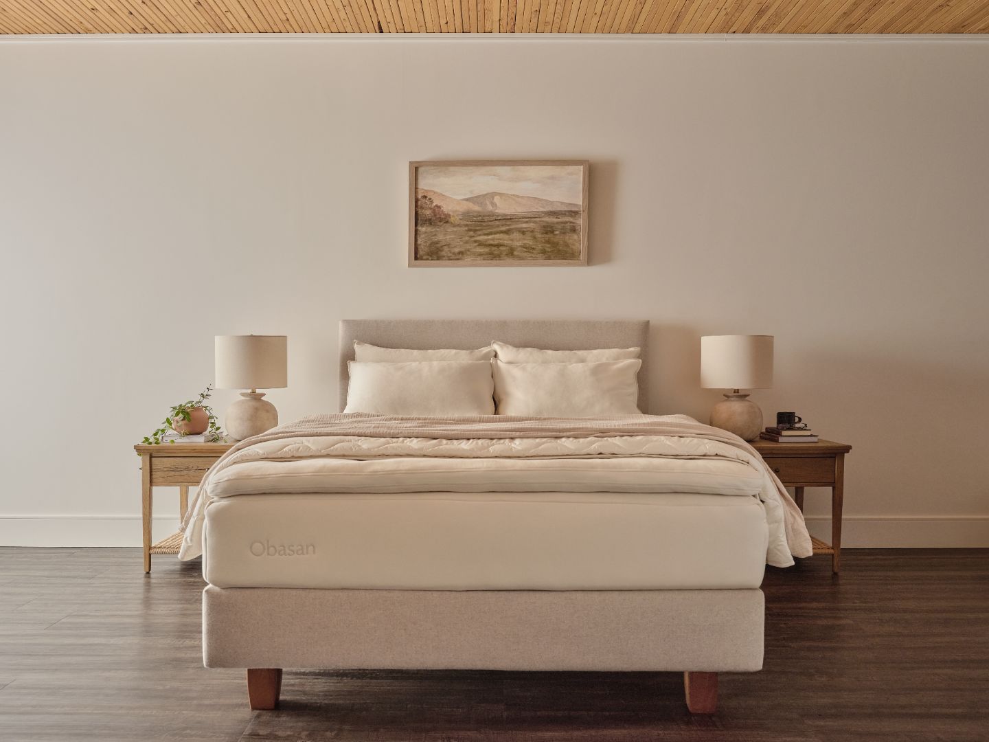 The Deluxe Mattress Assembly