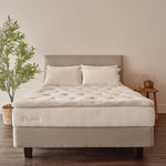Classic Custom Organic Mattress