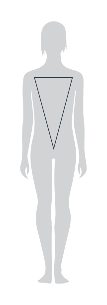 Body type B