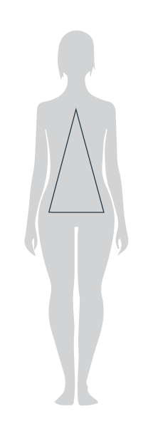 Body type C