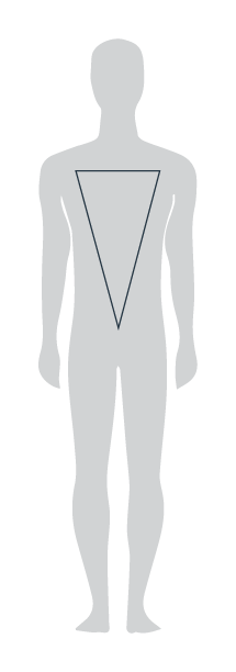 Body type E