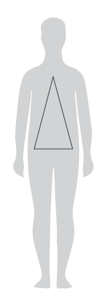 Body type G
