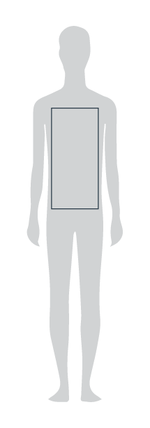 Body type H